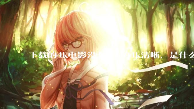 下载的4k电影没有b站的4k清晰，是什么情况啊？