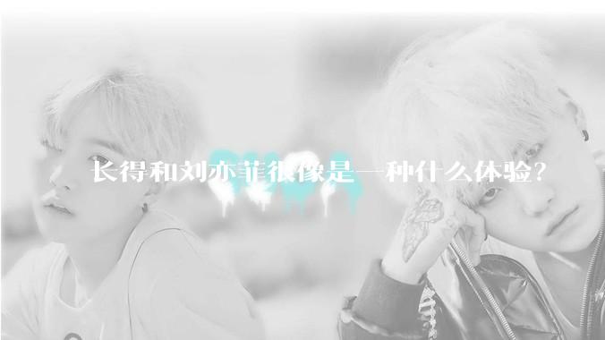 长得和刘亦菲很像是一种什么体验？