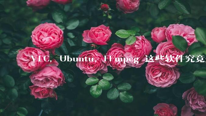 VLC，Ubuntu，FFmpeg 这些软件究竟是什么人开发的？为什么免费？他们不求回报又何以生存？