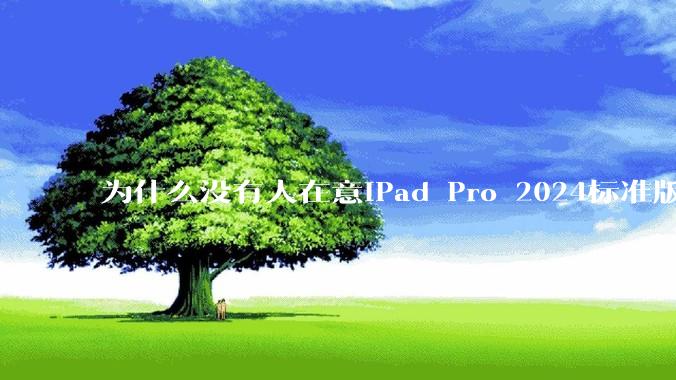 为什么没有人在意iPad Pro 2024标准版仅搭载的8GB内存（RAM）？