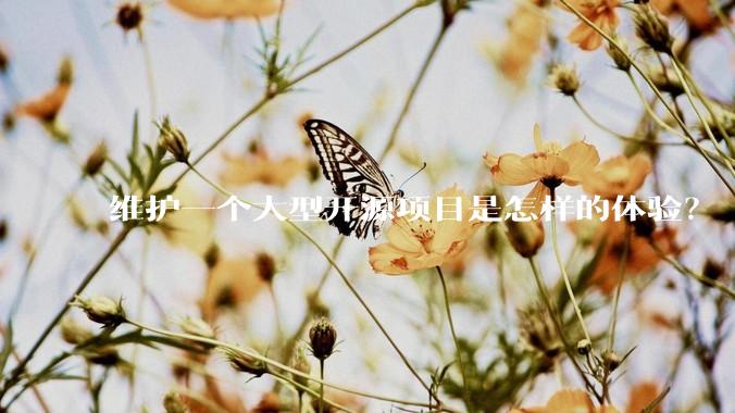 维护一个大型开源项目是怎样的体验？