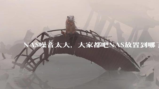 NAS噪音太大，大家都吧NAS放置到哪了？