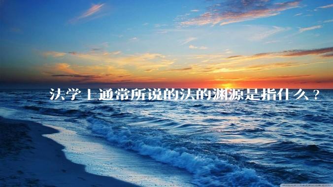 法学上通常所说的法的渊源是指什么?