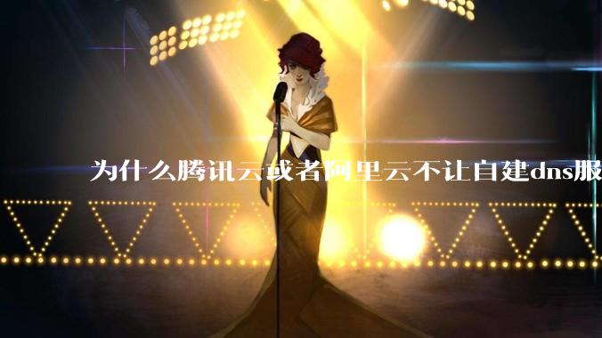 为什么腾讯云或者阿里云不让自建dns服务器?