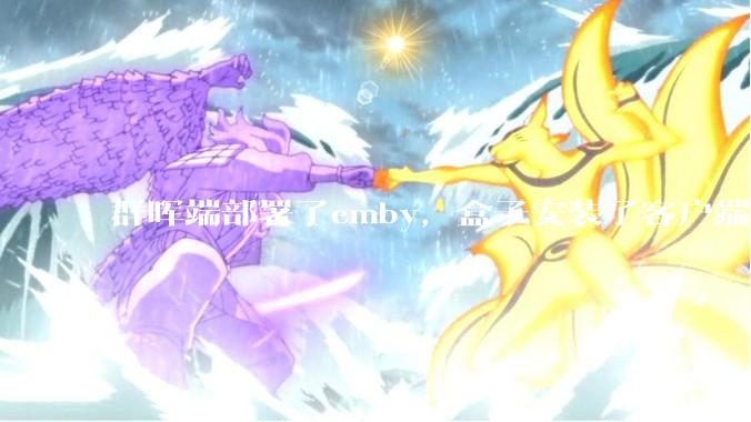 群晖端部署了emby，盒子安装了客户端播放蓝光电影为什么不能显示影片自带字幕？