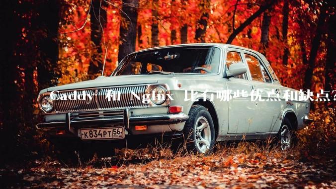 Caddy 和 Nginx 比有哪些优点和缺点？