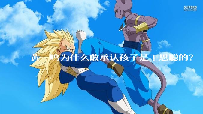 黄一鸣为什么敢承认孩子是王思聪的？