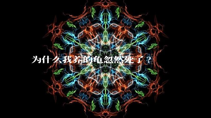 为什么我养的龟忽然死了?