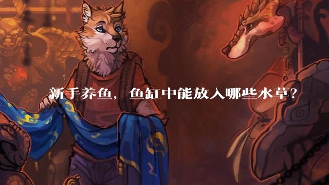 新手养鱼，鱼缸中能放入哪些水草？