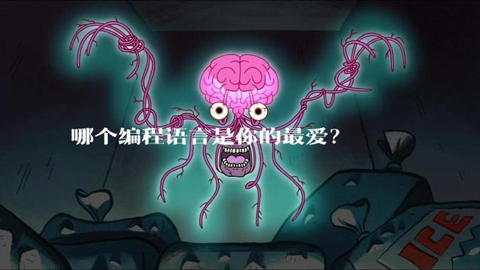 哪个编程语言是你的最爱？