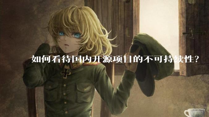 如何看待国内开源项目的不可持续性？