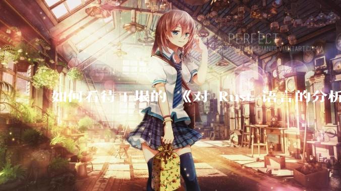 如何看待王垠的 《对 Rust 语言的分析》？